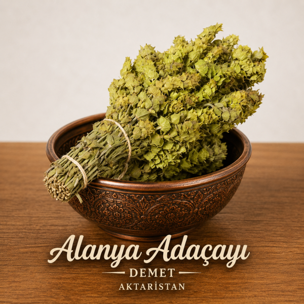 Alanya Adaçayı Alanya Adaçayı
