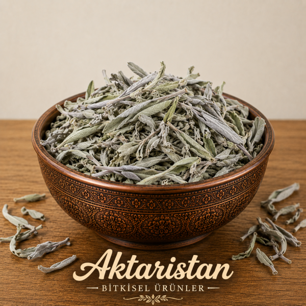 Tıbbi Adaçayı Gri Adaçayı